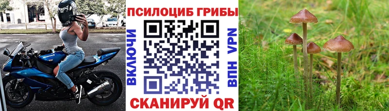 Псилоцибиновые грибы Magic Shrooms  Ишимбай 