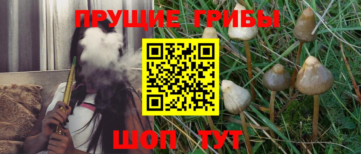 Галлюциногенные грибы Magic Shrooms Ишимбай