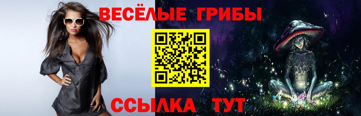 Ишимбай  Псилоцибиновые грибы ЛСД  Вход с VPN 